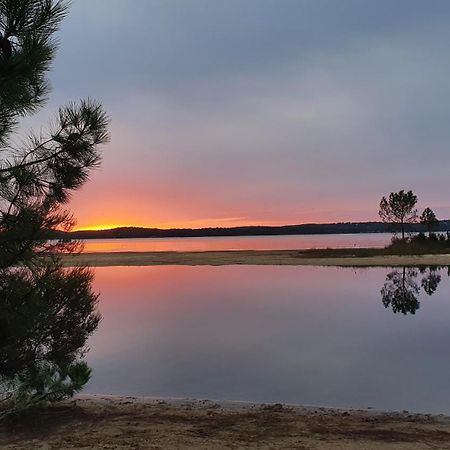 Au Bord Du Lac Et Sous Les Pins Villa Lacanau Ngoại thất bức ảnh